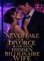 Never fake a divorce with your hidden billionaire wife cover