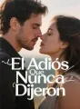 El Adiós Que Nunca Dijeron cover