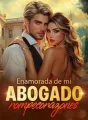 Enamorada de mi abogado rompecorazones cover