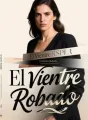 El Vientre Robado cover