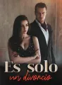 Es solo un divorcio cover