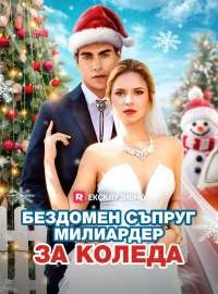 [Дублиран] Бездомен съпруг милиардер за Коледа