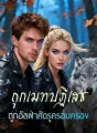 ถูกเมทปฏิเสธ  ถูกอัลฟ่าศัตรูครอบครอง cover