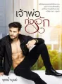 เจ้าพ่อก่อรัก cover