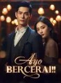 Ayo Bercerai!!  cover