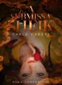 A Submissa do Sheik cover