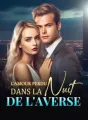 L'amour perdu dans la nuit de l'averse cover