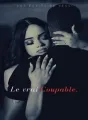 Le vrai coupable cover