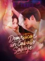 Domesticar un caballo salvaje cover