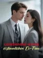 Geheimnisse seiner erstaunlichen Ex-Frau cover