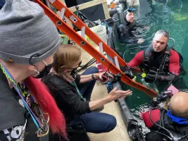 Lisa Robinson Wallpaper