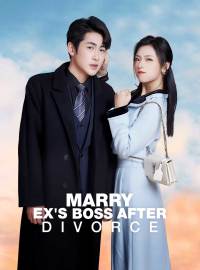 Marry Ex's Boss After Divorce