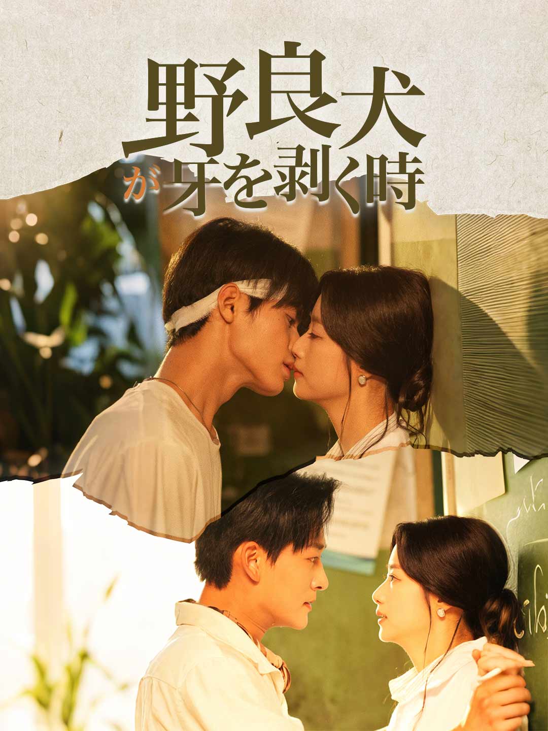 野良犬が牙を剥く時