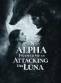 After My Alpha Framed Me for Attacking His Luna cover