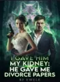 I Gave him my Kidney:He Gave me Divorce Papers cover