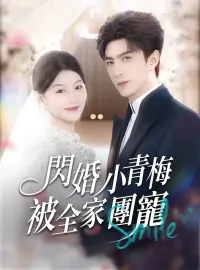 閃婚小青梅被全家團寵