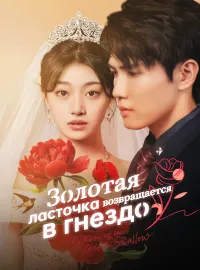 Золотая ласточка возвращается в гнездо