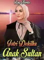 Istri Dekilku Anak Sultan cover