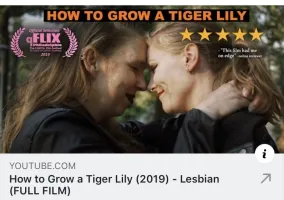 Courtney Shaffer Wallpaper