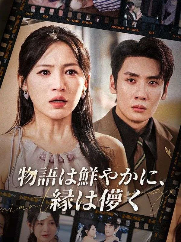 物語は鮮やかに、縁は儚く(吹き替え)