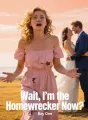 Wait, I'm the Homewrecker Now? cover
