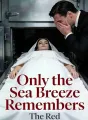 Only the Sea Breeze Remembers cover