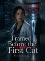 Framed Before the First Cut cover