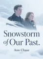 Snowstorm of Our Past cover