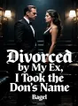 Divorced by My Ex, I Took the Don's Name cover
