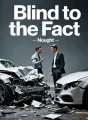 Blind to the Fact cover
