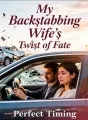 My Backstabbing Wife's Twist of Fate cover