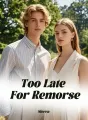 Too Late For Remorse cover