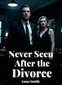 Never Seen After the Divorce cover