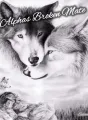 Alphas Broken Mate cover