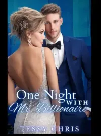 One Night With Mr Billionaire 