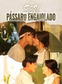 Seu Pássaro Engaiolado