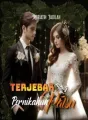 Terjebak Pernikahan Yang Palsu  cover