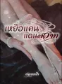 เหยื่อแค้นแดนสวาท cover