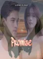 Promise cover