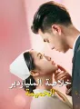 خلاصة الملياردير الحميمة cover