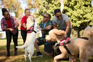 David Eugene Sweat Wallpaper