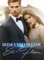 Seine umwerfende Ex-Frau cover