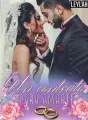 Un contrato para amarte (Casada con el CEO) cover