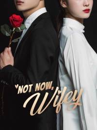 Not Now, WifeyShort Dramas