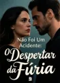 Não Foi Um Acidente: O Despertar da Fúria cover