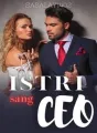 Istri Sang CEO (After Married) cover