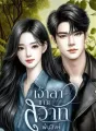 ซีรีส์เจ้าสาวเกาะสวาท cover