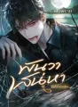พันวาเสน่หา cover