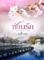 ซ่อนรัก cover
