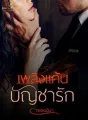 เพลิงแค้นบัญชารัก cover